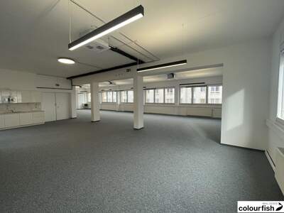 Gewerbeobjekt mieten in 1100 Wien (Bild 4)