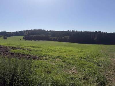 Grundstück kaufen in 4085 Waldkirchen