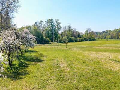 Haus kaufen in 4643 Mitterndorf (Bild 3)