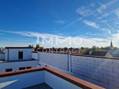 Anlageobjekt kaufen in 2514 Traiskirchen (Bild 3)