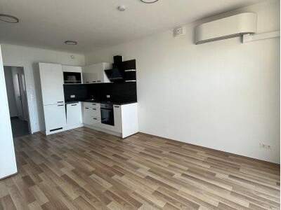 Terrassenwohnung mieten in 2544 Leobersdorf (Bild 3)