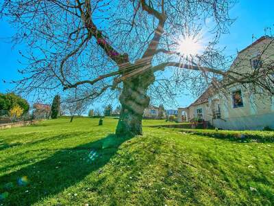 Haus kaufen in 2115 Ernstbrunn