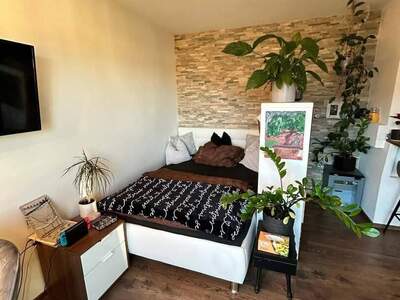 Mietwohnung provisionsfrei in 5071 Wals