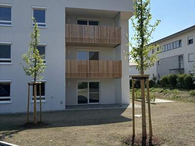 Mietwohnung in 5251 Höhnhart (Bild 2)
