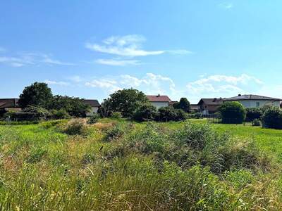 Grundstück kaufen in 8403 Bachsdorf (Bild 2)