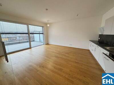 Terrassenwohnung mieten in 8020 Graz (Bild 4)