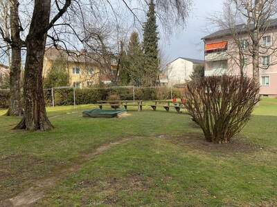 Wohnung kaufen in 4910 Ried (Bild 3)