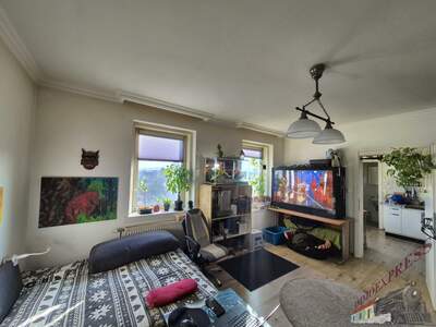 Wohnung kaufen in 2700 Wr. Neustadt (Bild 5)