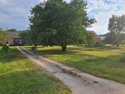 Haus kaufen in 2115 Thomasl