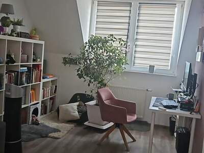 Apartment provisionsfrei mieten in 2521 Trumau