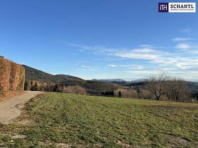 Grundstück kaufen in 8045 Weinitzen