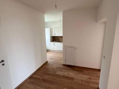 Altbauwohnung mieten in 8020 Graz (Bild 1)