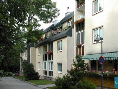 Wohnung mieten in 2620 Neunkirchen