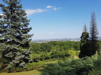 Grundstück kaufen in 2380 Perchtoldsdorf