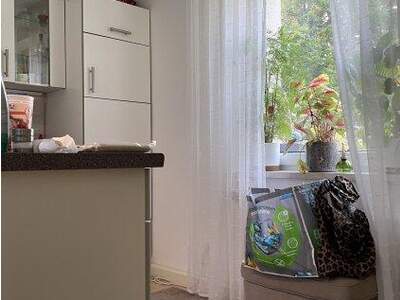 Mietwohnung in 4400 Steyr (Bild 5)