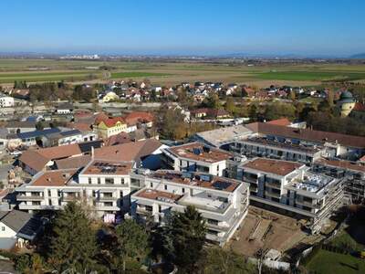 Anlageobjekt kaufen in 3441 Judenau