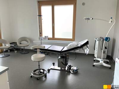 Gewerbeobjekt mieten in 1220 Wien (Bild 3)