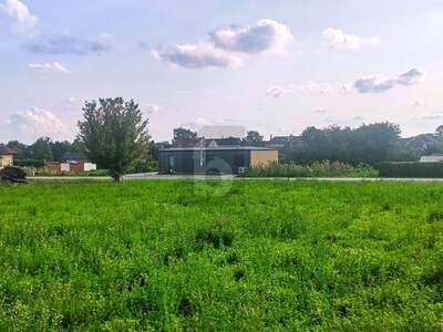 Grundstück kaufen in 7123 Mönchhof (Bild 2)