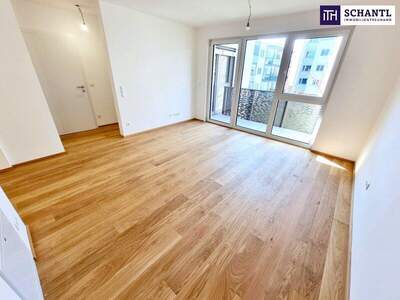 Terrassenwohnung kaufen in 1230 Wien (Bild 3)