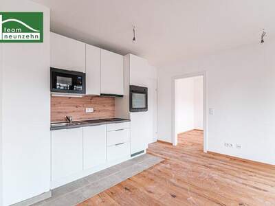 Terrassenwohnung mieten in 1030 Wien (Bild 2)