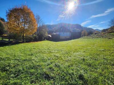 Grundstück provisionsfrei kaufen in 3172 Ramsau