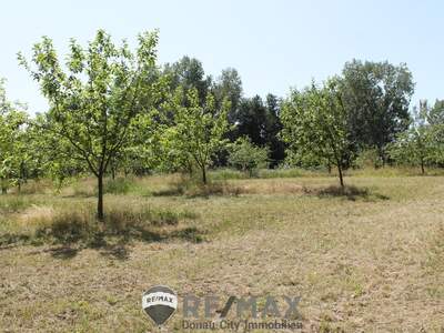 Grundstück kaufen in 2011 Sierndorf (Bild 3)