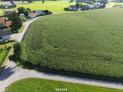 Grundstück kaufen in 4753 Taiskirchen