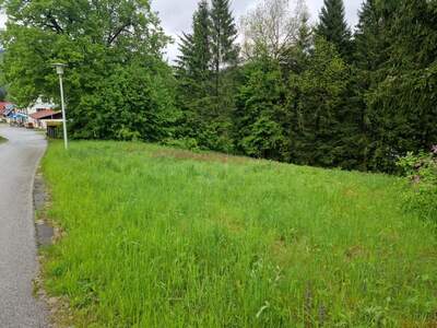 Grundstück kaufen in 8635 Gollrad (Bild 1)