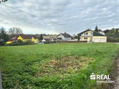 Grundstück kaufen in 4073 Wilhering (Bild 3)