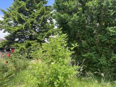 Grundstück kaufen in 1210 Wien