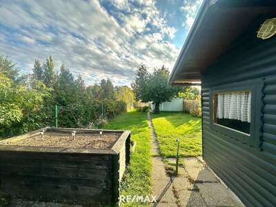 Haus kaufen in 2272 Ringelsdorf