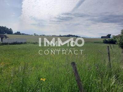 Grundstück kaufen in 4540 Bad Hall