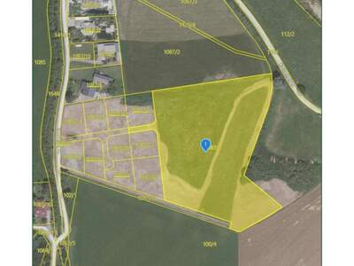 Gewerbeobjekt kaufen in 8741 Baierdorf (Bild 5)