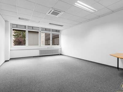 Gewerbeobjekt mieten in 1130 Wien (Bild 4)