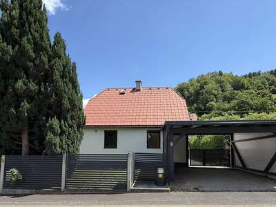 Haus kaufen in 8784 Trieben