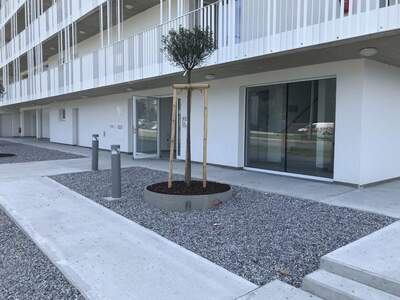 Wohnung mieten in 3100 St. Pölten (Bild 4)