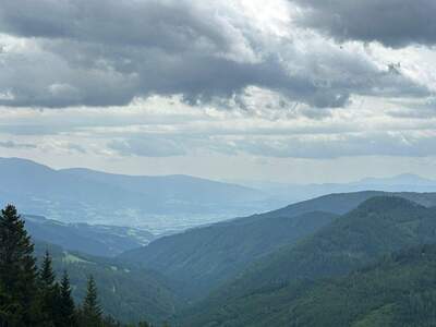 Grundstück kaufen in 9462 Wolfsberg (Bild 3)