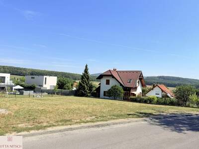Grundstück kaufen in 2500 Siegenfeld (Bild 2)