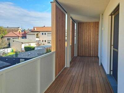 Terrassenwohnung kaufen in 7100 Neusiedl (Bild 3)