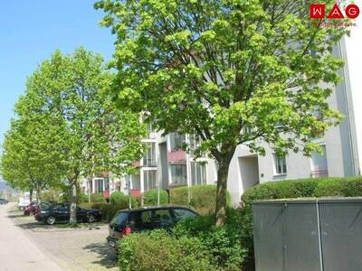 Terrassenwohnung mieten in 4060 Leonding (Bild 1)