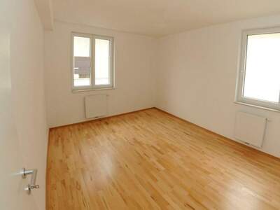 Gewerbeobjekt mieten in 3270 Scheibbs (Bild 3)