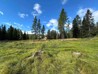 Grundstück kaufen in 9571 Albeck (Bild 4)