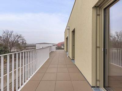 Terrassenwohnung kaufen in 2540 Bad Vöslau (Bild 4)