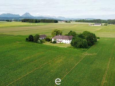 Gewerbeobjekt kaufen in 4643 Pettenbach