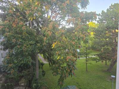 Wohnung kaufen in 1210 Wien