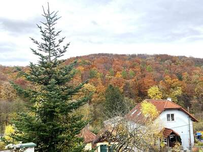 Grundstück kaufen in 3001 Mauerbach