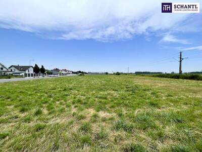 Grundstück kaufen in 2441 Mitterndorf (Bild 4)