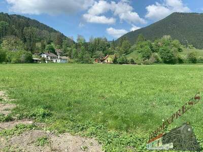 Grundstück kaufen in 2734 Puchberg (Bild 2)