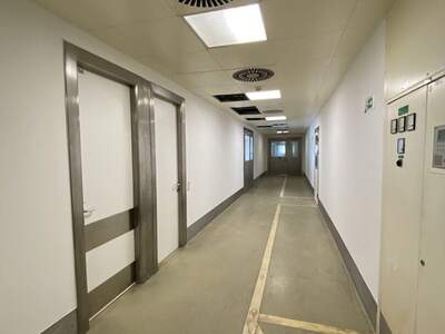 Gewerbeobjekt mieten in 1210 Wien (Bild 3)