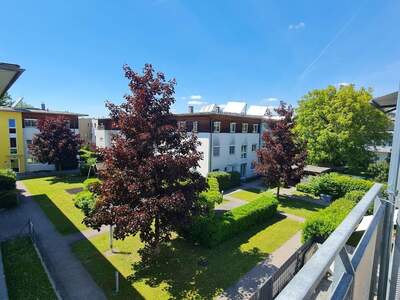 Terrassenwohnung kaufen in 4600 Wels (Bild 1)